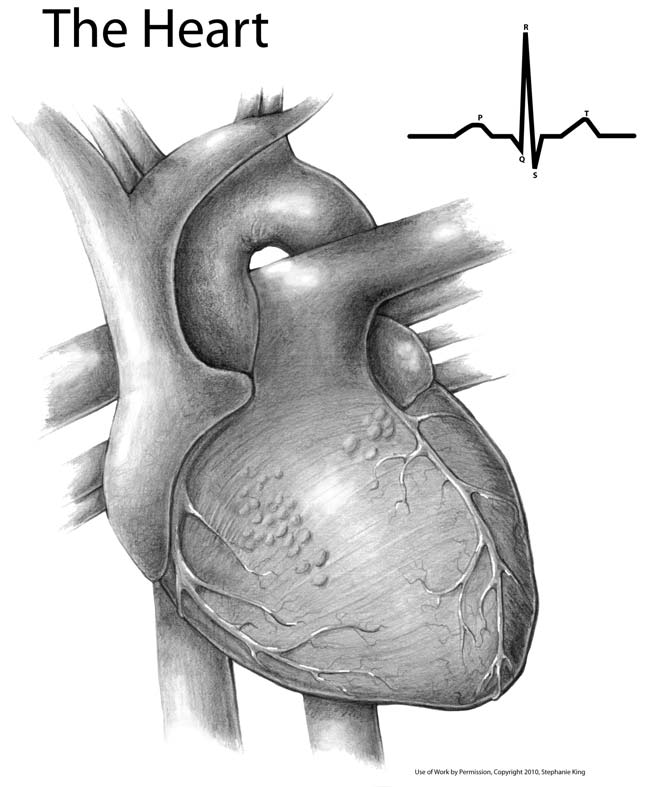 imhl2-1010