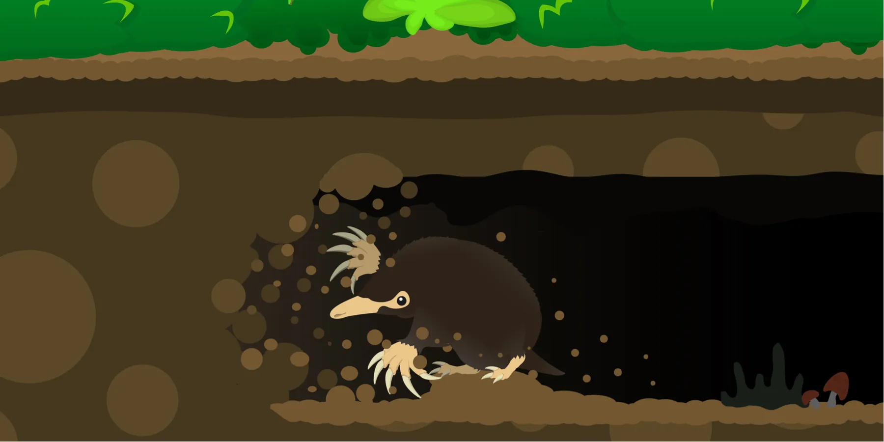 unnoticed mole