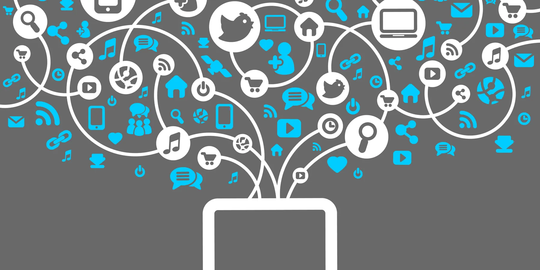 social network