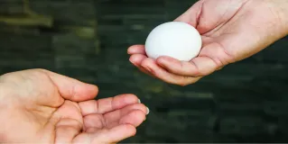 egg donation