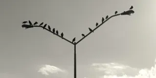 shared view