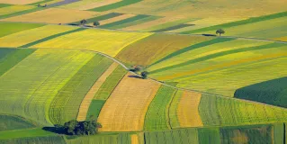 agricultural fertilizer