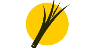 splitting hairs