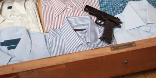guns in the home