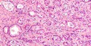 cscm6-2110