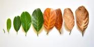 long term care