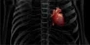 cardiovascular disparities