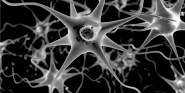 Parkinson's Disease