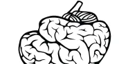 brain death