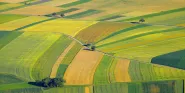 agricultural fertilizer