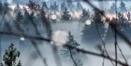 fog of evidence